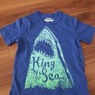 Áo thun bé trai hàng VNXK ( OSHKOSH, GAP, OLD NAVY...)