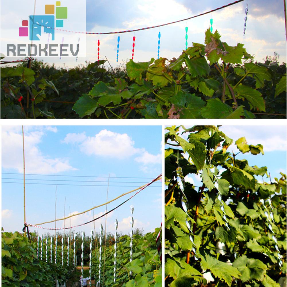 Set 6 Que Xoắn Ốc Phản Quang Đuổi Chim Trang Trí Sân Vườn