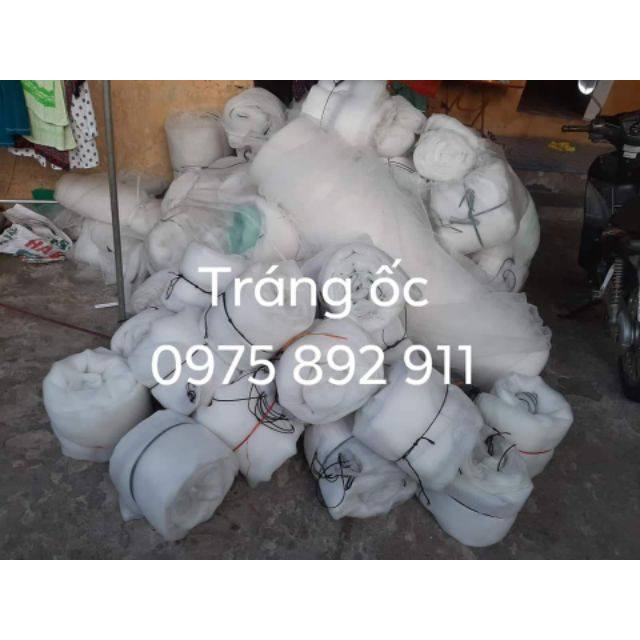 Tráng ,lồng , vèo nuôi ốc nhồi - loại mới nở đến hạt lạc sản phẩm tốt 121