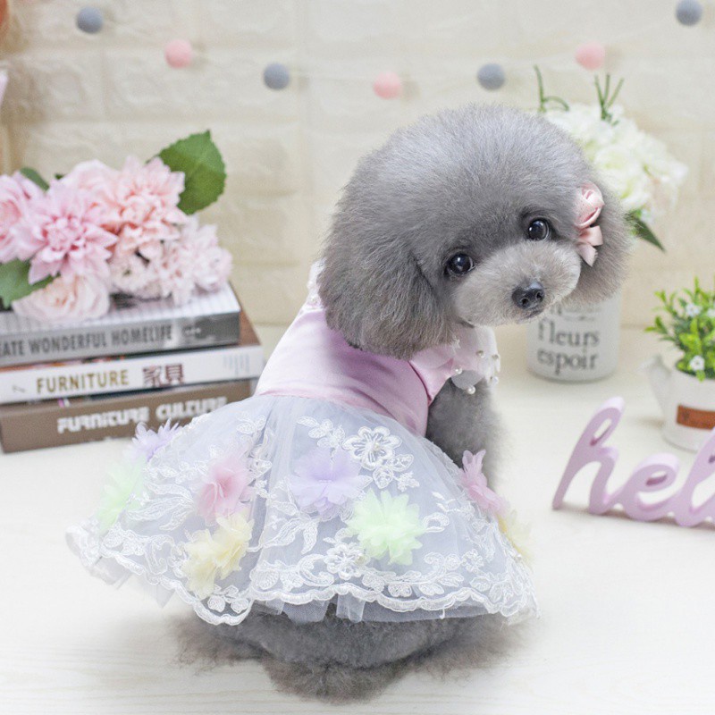 Combo váy cho cún (Mã sản phẩm: HOANGSAM33072)