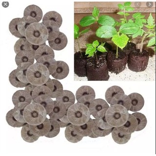 Bộ 50 viên nén ươm hạt - viên nén xơ dừa kích mầm