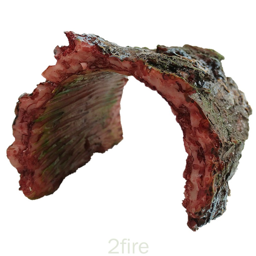 Đồ trang trí bể cá hình khúc gỗ sống động độc đáo