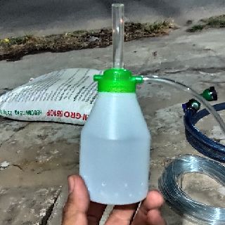 Lọc bio cá guppy 7màu