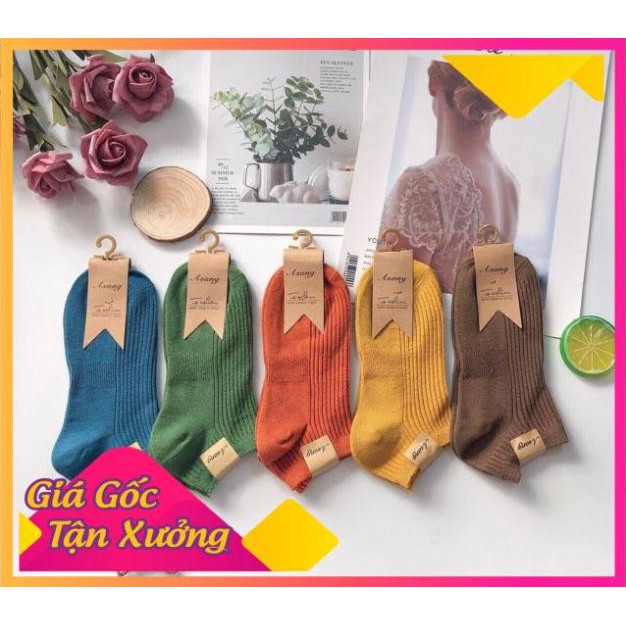[SIÊU SALE] Set 10 Đôi Tất Len Gân Nữ Loại Mới Cao Cấp.