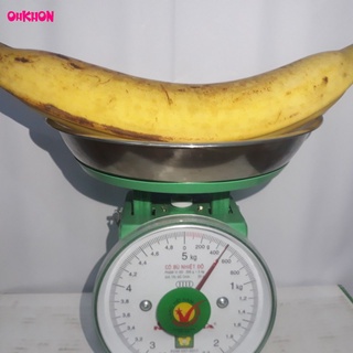 Chuối táo quạ ohkhon chuối tá quạ sống trái bự quá xá bà con ơi
