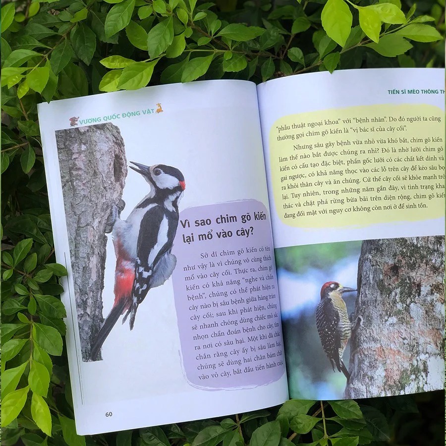 SÁCH - Bách khoa tri thức dành cho trẻ em :Tiến sĩ Mèo thông thái 58K