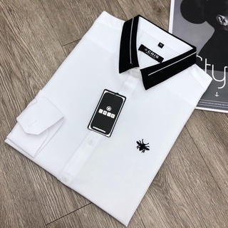 (𝐇𝐀̀𝐍𝐆 𝐒𝐈̣𝐍 𝐒𝐇𝐎𝐏) Áo sơ mi nam logo thêu ong vàng, vải chuẩn hàng Shop - ẢNH THẬT