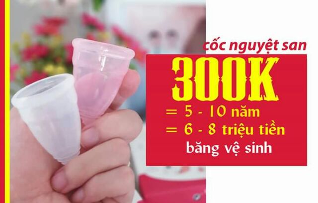 [Ảnh thật] Cốc Nguyệt San PHARMA CUP của Pháp 100% chính hãng