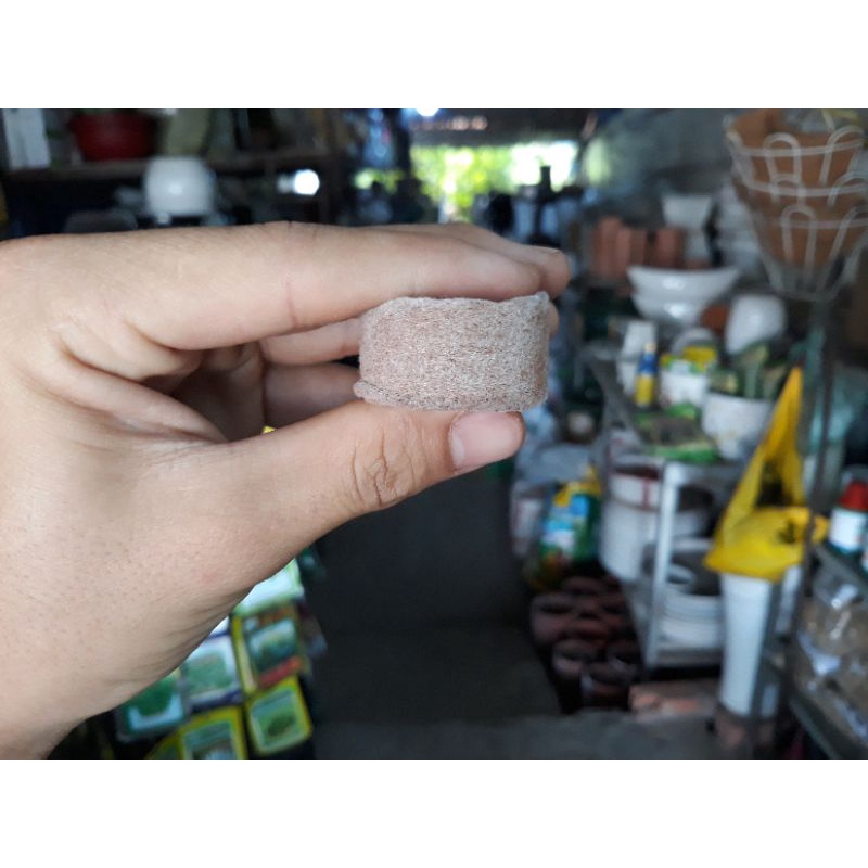 COMBO 10 Viên Nén Sơ Dừa Ươm Cây Giống, Hạt Giống