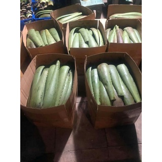 bẹ nha đam 6kg