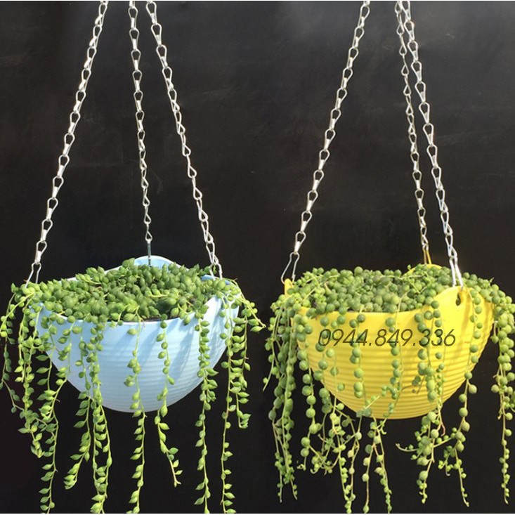 CHẬU TREO BAN CÔNG