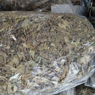 DÂY THÌA CANH 1kg
