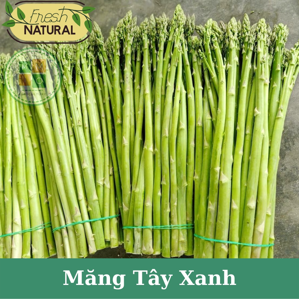 Hạt giống măng tây xanh chịu nhiệt bốn mùa