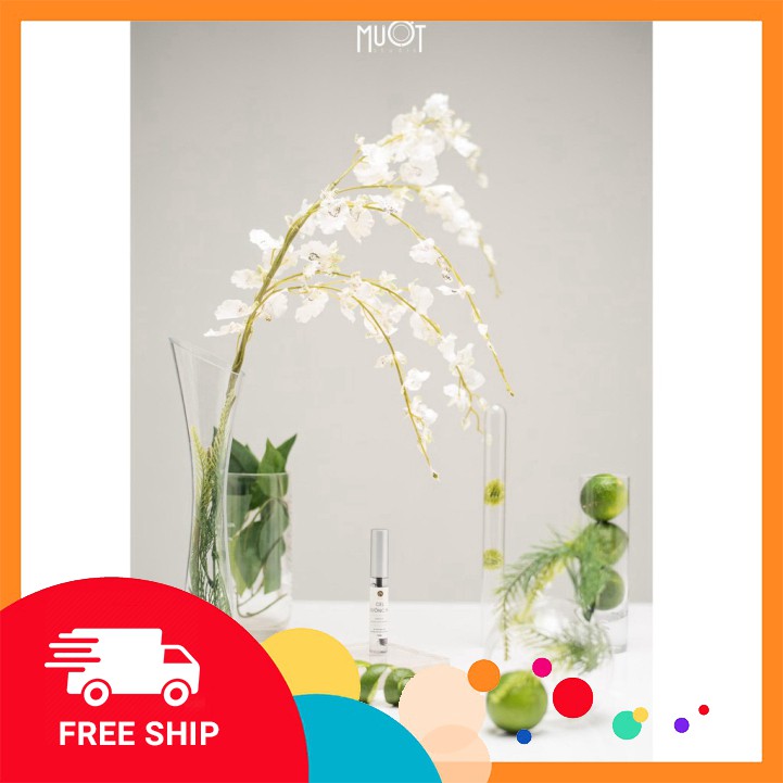 Gel dưỡng mi Nga Hoàng | BigBuy360 - bigbuy360.vn