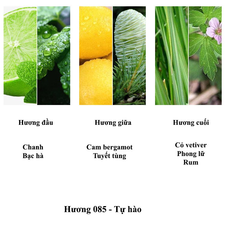 Nước hoa nam Jean Miss hương thơm nam tính mạnh mẽ 100ml | BigBuy360 - bigbuy360.vn