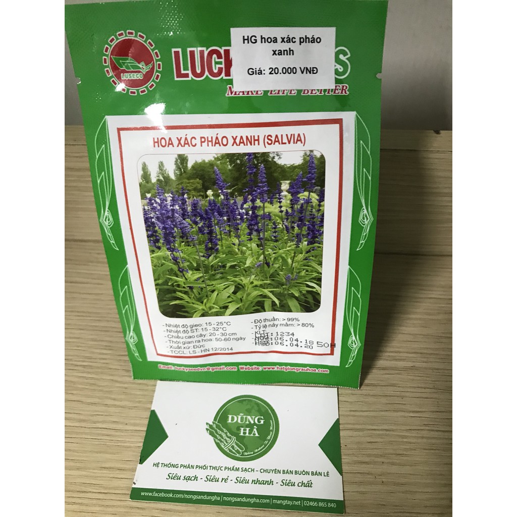 Hạt giống hoa xác pháo xanh gói 50 hạt