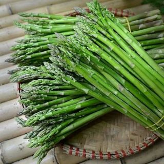 Combo 10 cây giống măng tây