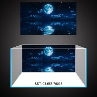 Tranh 3D dán hồ cá, bể thuỷ sinh mẫu ánh trăng tạo chiều sâu, tranh có keo sẵn trên bề mặt, có thể in theo KT yeu cầu