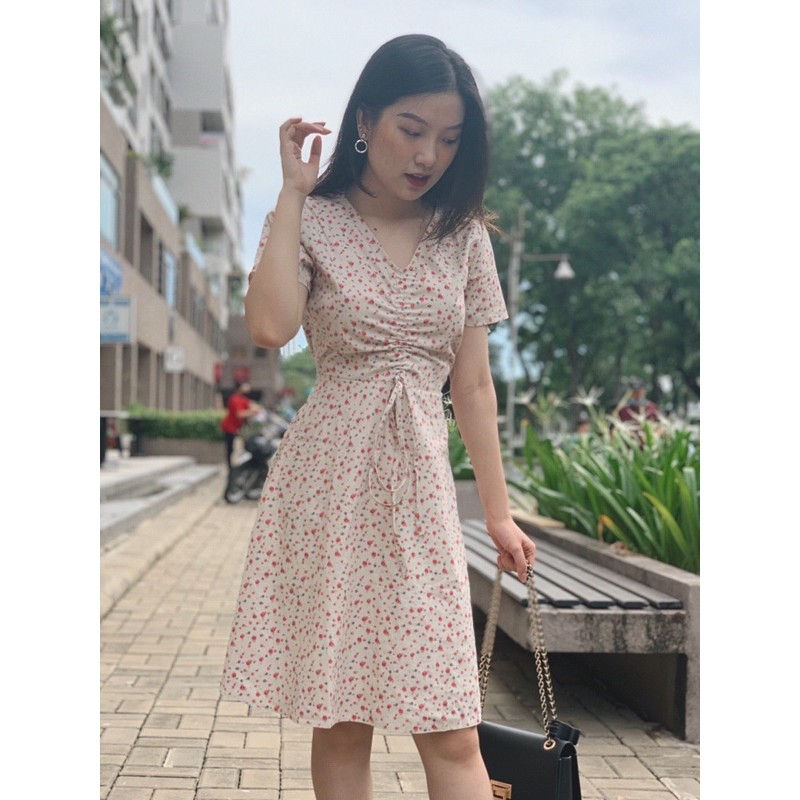ĐẦM HOA NHÍ RÚT NGỰC