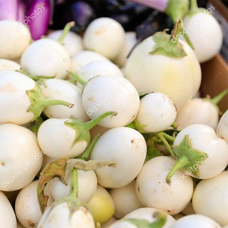 Hạt giống cà pháo trắng chất lượng, năng xuất cao 2gr