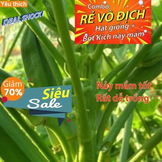 [Combo rẻ vô địch HẠT GIỐNG + GÓI  KÍCH NẢY MẦM] - 5 hạt giống quả đậu bắp xanh