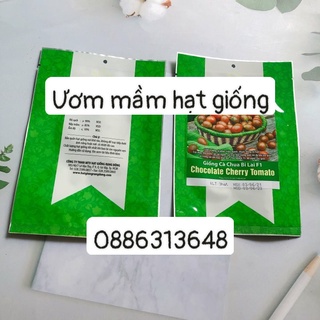 Hạt giống Cà chua bi Chocolate RD gói 3 hạt