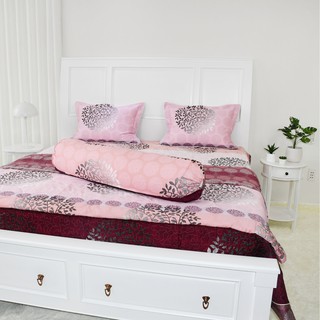 Bộ chăn ga gối hanvico DL87 – 100% Cotton M