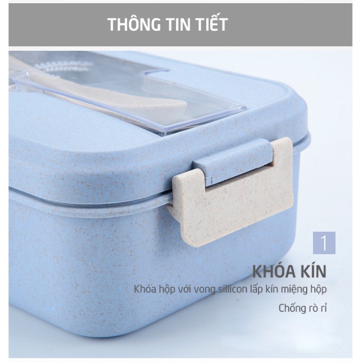 Hộp đựng cơm trưa văn phòng 3 ngăn, kèm đũa thìa, dùng cho lo vi sóng nhựa hữu cơ an toàn
