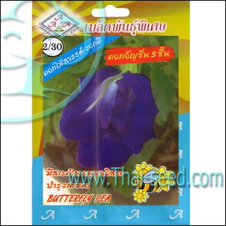 Hạt giống đậu biếc cánh kép 5 tầng Thái Lan