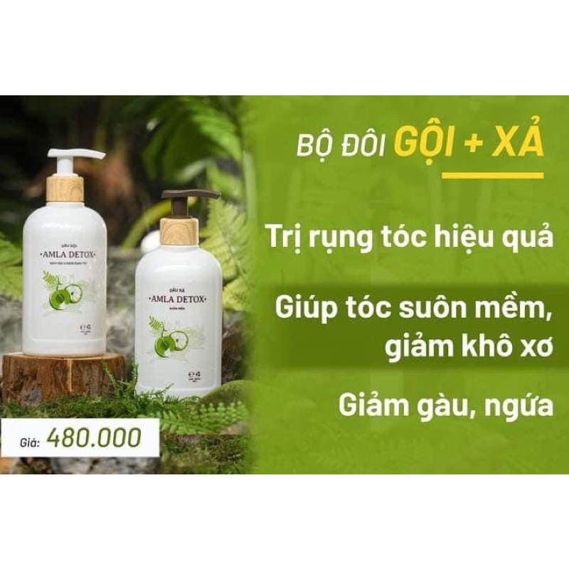 SẢN PHÂM DẦU GỘI _ DẦU XẢ _ Amla detox laco chính hãng