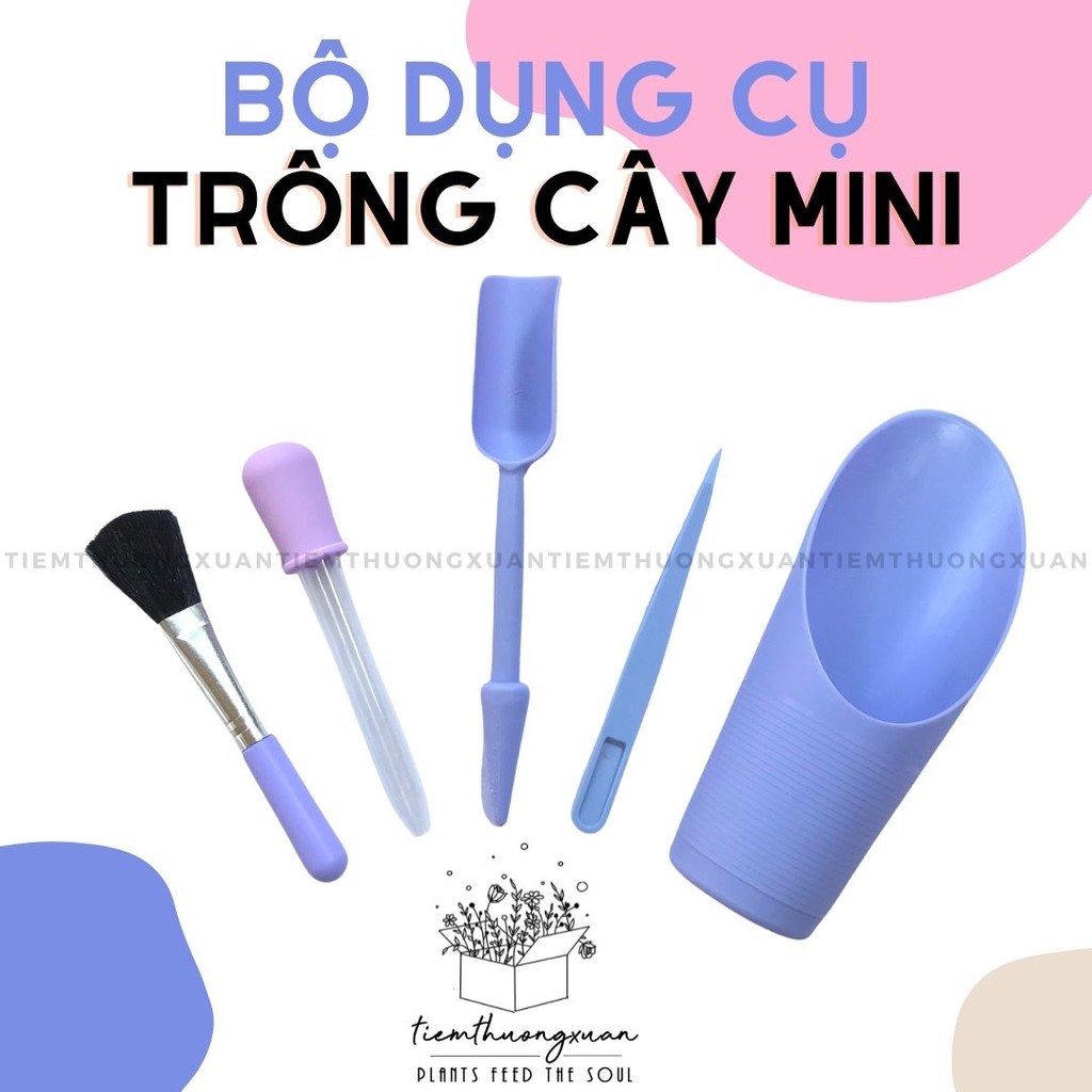 [Giá hủy diệt] Bộ dụng cụ làm vườn - Dụng cụ trồng sen đá, xương rồng - Tiệm Thường Xuân