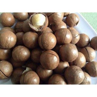 1 kg hạt mắc ca nứt vỏ