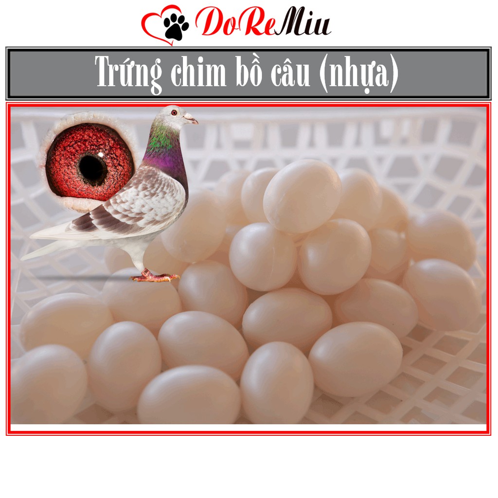 Doremiu- Trứng chim bồ câu bằng nhựa như thật (Ruột lỏng hồng) hỗ trợ bồ câu ấp đẻ đúng chỗ