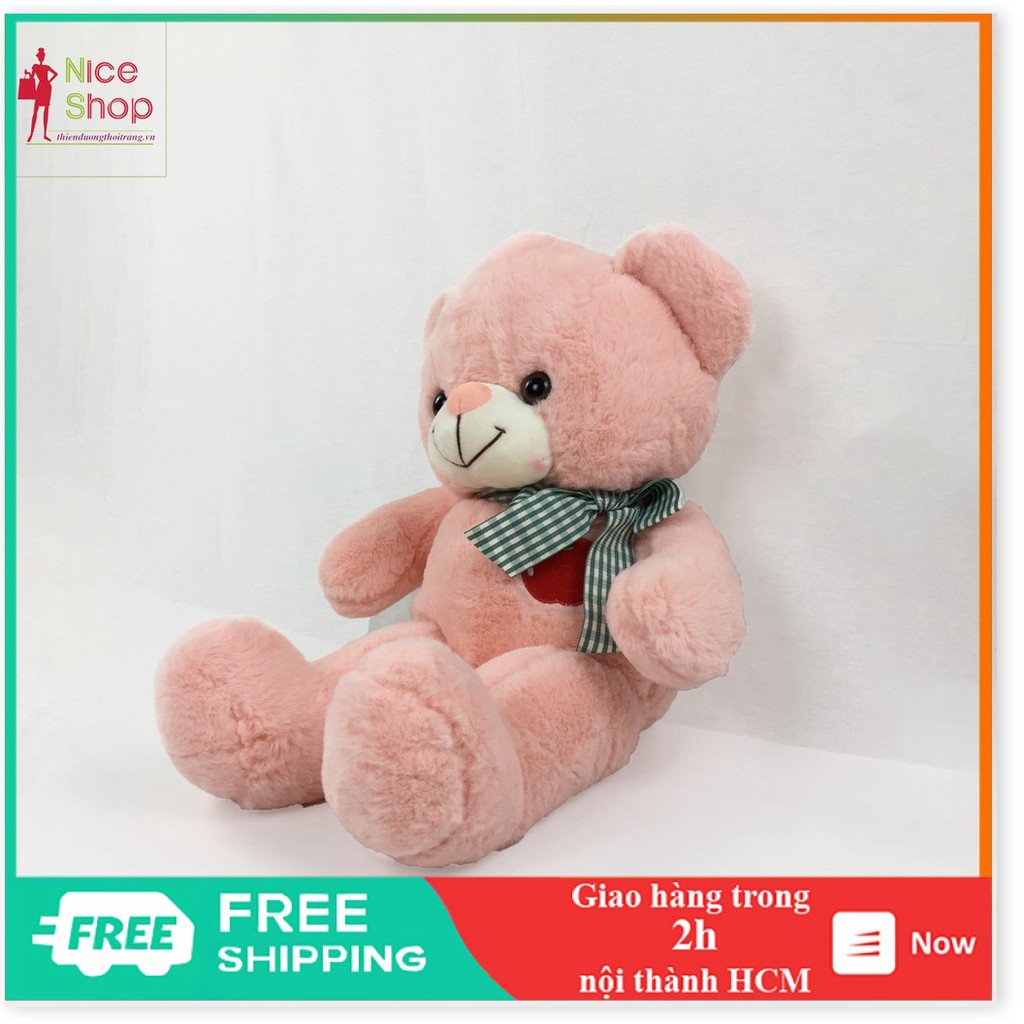 Gấu bông ôm teddy siêu đáng yêu nhiều màu dùng để cho bé ôm trang trí trong nhà - OT0700