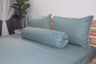 Bộ drap cotton 100%