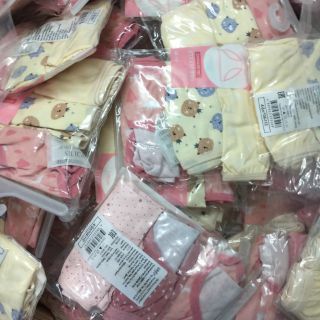 Set quần chip bé gái