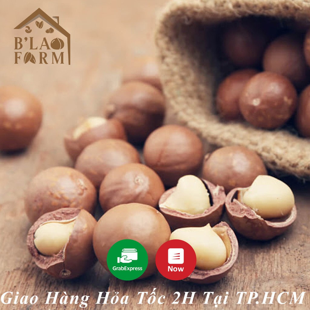 [Hạt Điều Rang Muối Xếp Hoa B'lao Farn] LOẠI  NGON Size A Cồ To - Nguyên Hạt - Giòn - Thơm Ngon - Hộp 500G