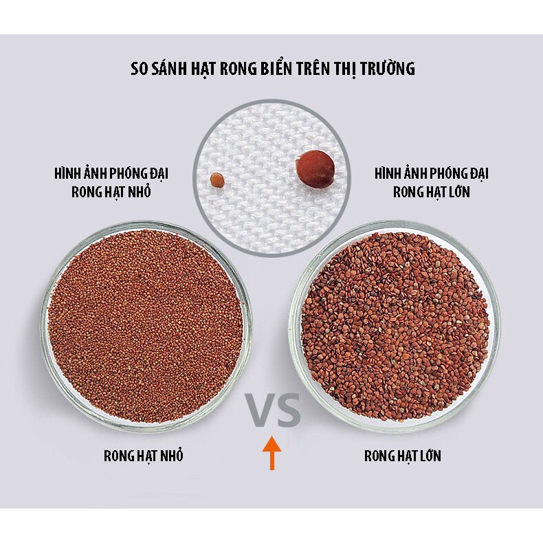 1kg Hạt đình lịch (hạt ngũ hoa) - TD127 sản phẩm handmade từ thiên nhiên