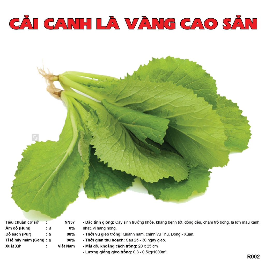 Hạt Giống Rau Các Loại Theo Mùa Cây Khoẻ Mạnh Hạt Nẩy Mầm Tốt Trọng Lượng Từ 5 Gram - 50 Gram
