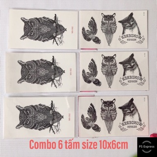 Combo 6 tấm hình xăm dán cú mèo 10x6cm