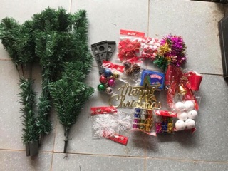 Cây thông noen