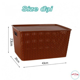 Giỏ đựng đồ Song Long 2574