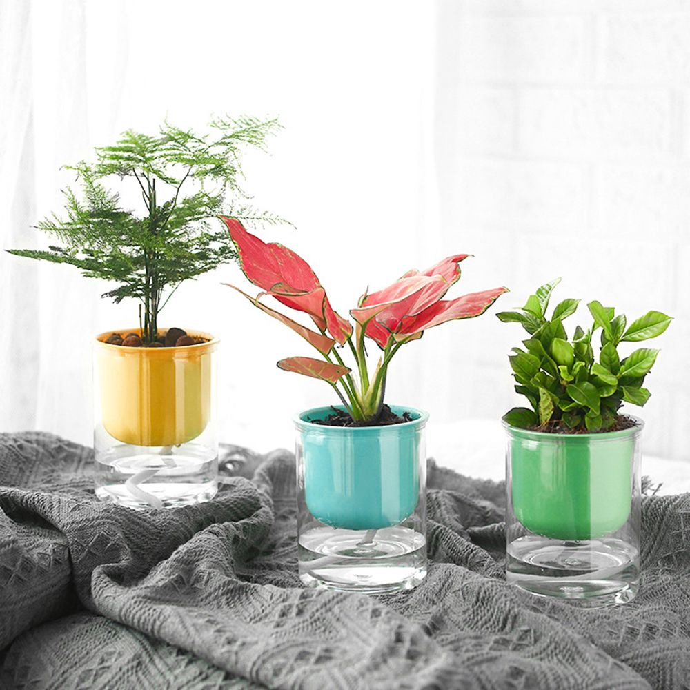 Chậu Trồng Cây Bằng Nhựa Trong Suốt Nhiều Màu Sắc Sáng Tạo