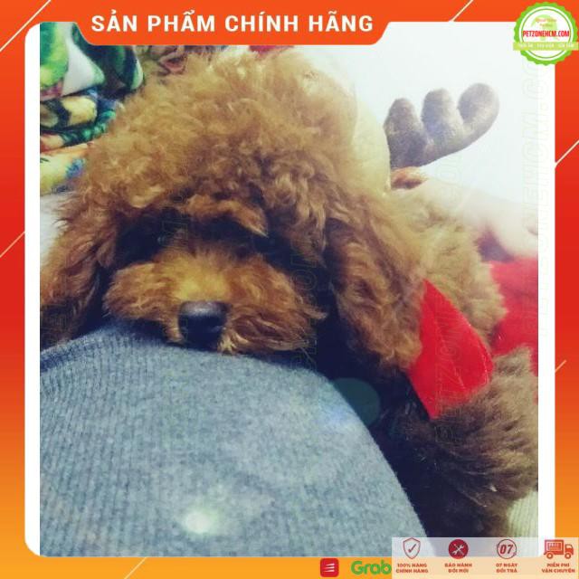 Yếm váy noel cho chó mèo cún miu siêu kute