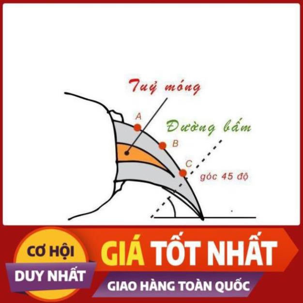 EAGER  Kéo Cắt Móng Cho Thú Cưng Chó Mèo Con Size Nhỏ