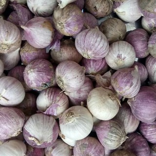 1KG TỎI CÔ ĐƠN TÍM