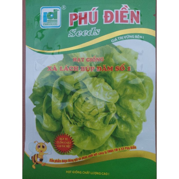HẠT GIỐNG XÀ LÁCH BÚP ĐĂM SỐ 1