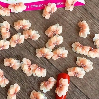 Hoa cúc nghiêng , hoa bột [ 12k/1cái ]