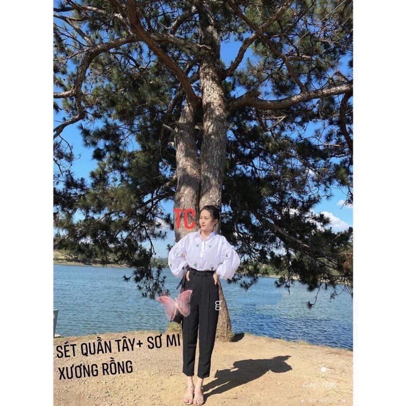 Áo sơ mi xương rồng TC45