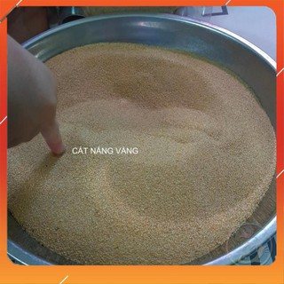 Cát Nắng Vàng Trải Nền Bể Thuỷ Sinh - Cát trải nền siêu đẹp